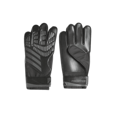 Pred GK GL Training
