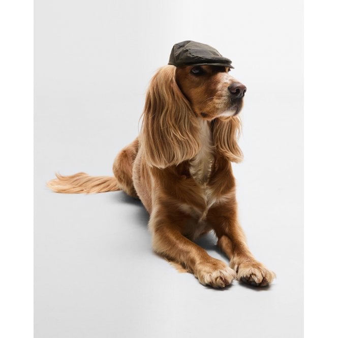 Barbour Dog Wax Flat Cap