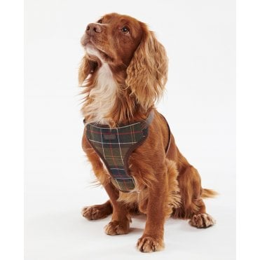 Travel And Exercise Dog Harness