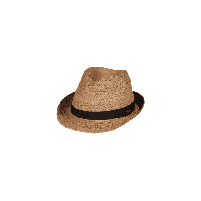 Barts Grayden Hat                    light brown one size