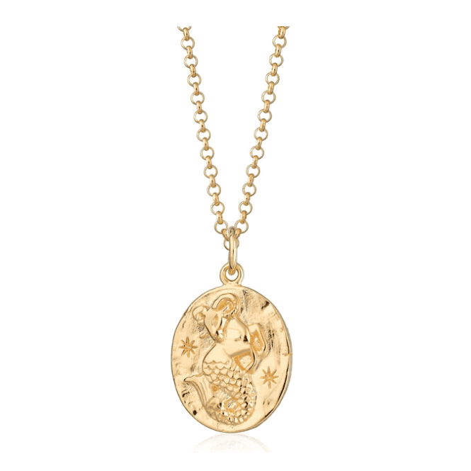 Scream Pretty capricorn zodiac necklace