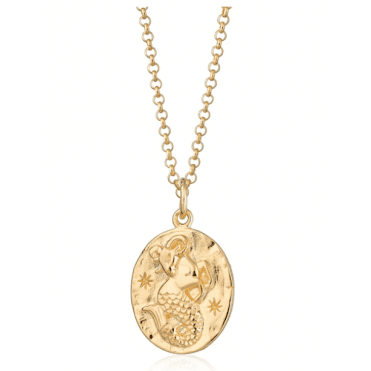 capricorn zodiac necklace