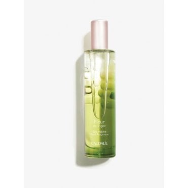 Fresh Fragrance - 50 mL