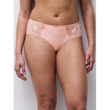 Muse Revealing Hipster Shorty