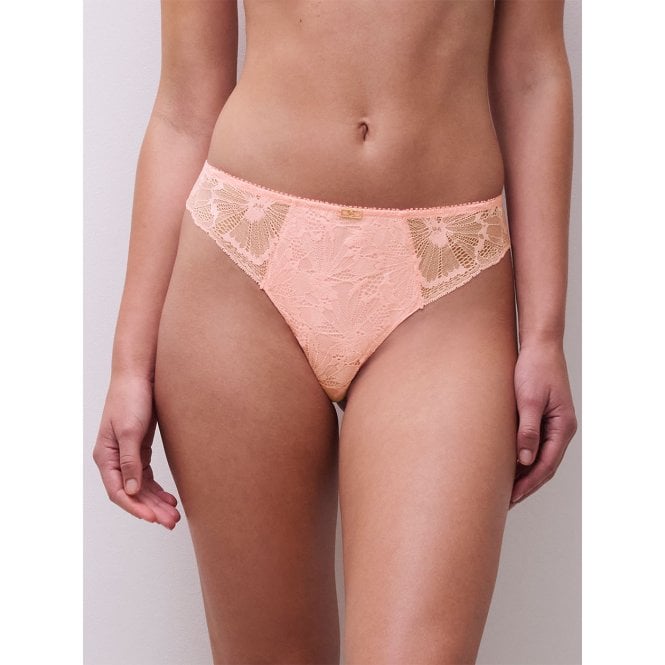 Chantelle Muse Tanga Thong
