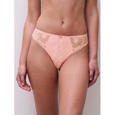 Muse Tanga Thong