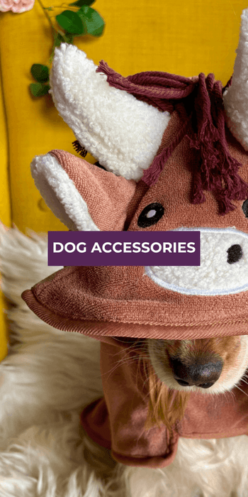 Dog Accessories