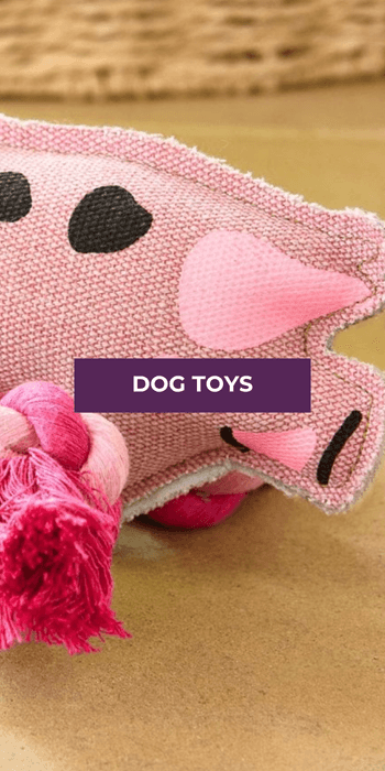 Dog Toys