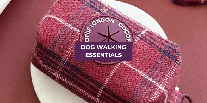 Dog Walking Essentials