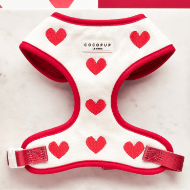 Adjustable Neck Harness