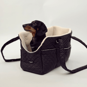 Dog Carrier