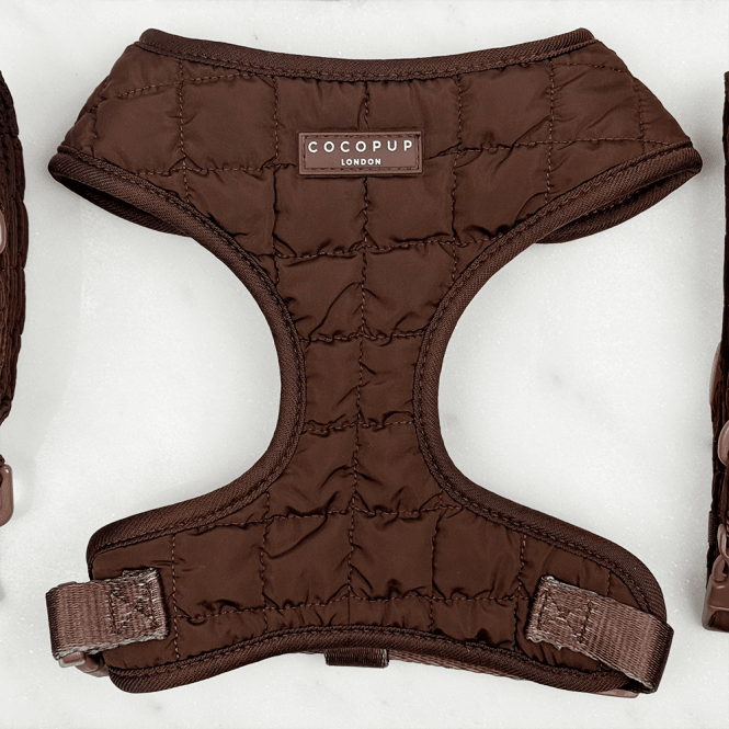 Cocopup Espresso Quilted Adjustable Neck Harness
