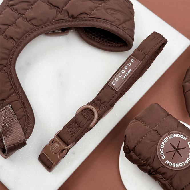 Cocopup Espresso Quilted Collar