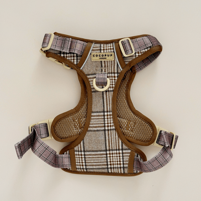 Cocopup Explore Harness
