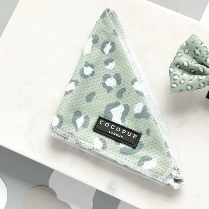 Cocopup Leopard Bandana