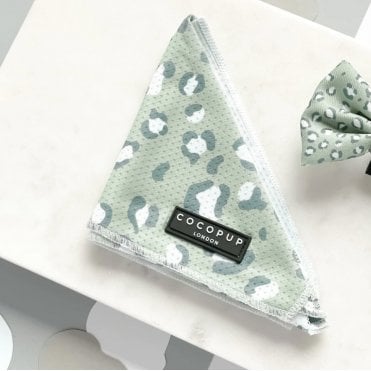 Leopard Bandana