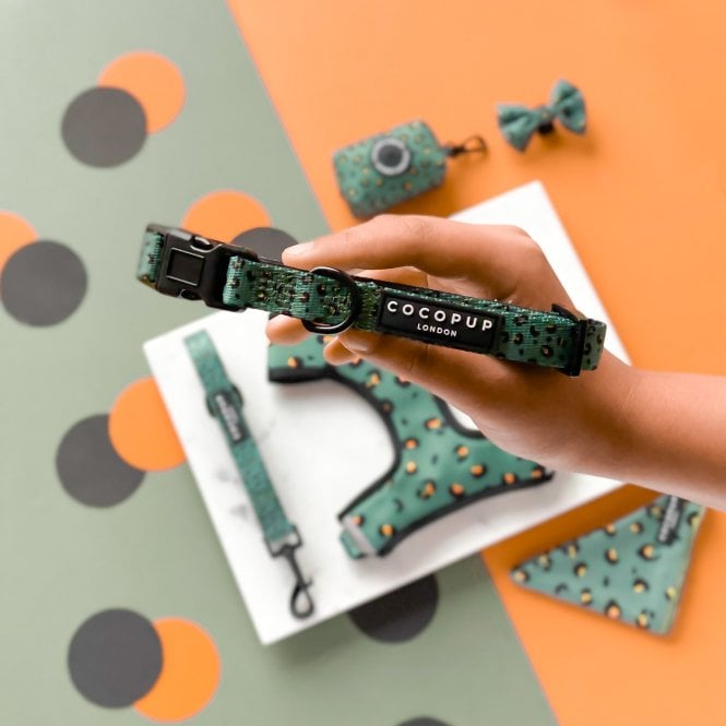 Cocopup Leopard Dog Collar