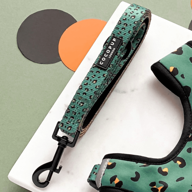 Cocopup Leopard Lead