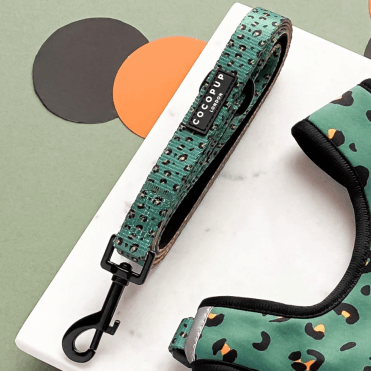 Leopard Lead