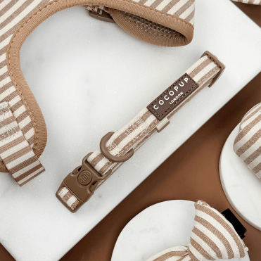 London Linen Stripes Collar