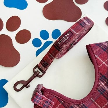 Mulberry Plaid Lead