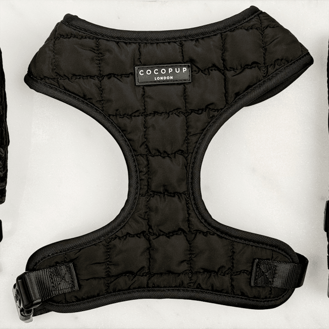 Cocopup Onyx Quilted Adjustable Neck Harness