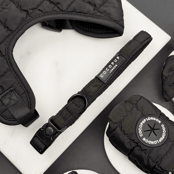 Cocopup Onyx Quilted Collar