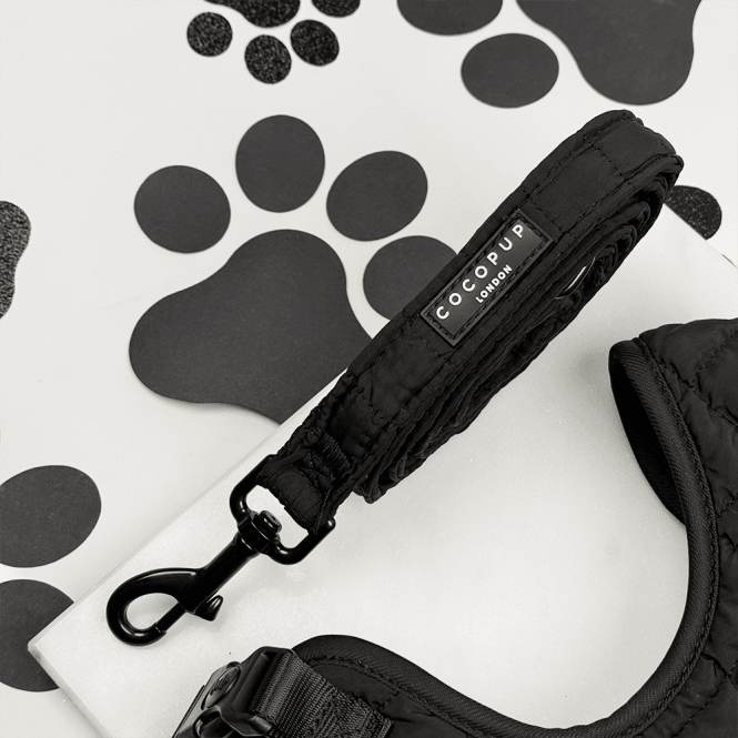 Cocopup Onyx Quilted Lead