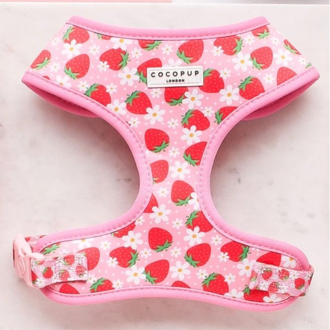 Cocopup Pupberry Fields Adjustable Dog Harness