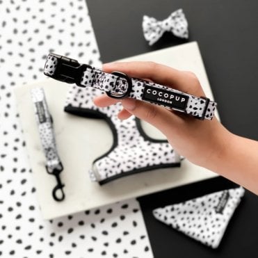 Spot Dog Collar