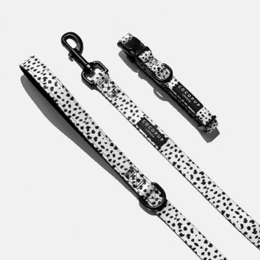 Spot Dog Lead