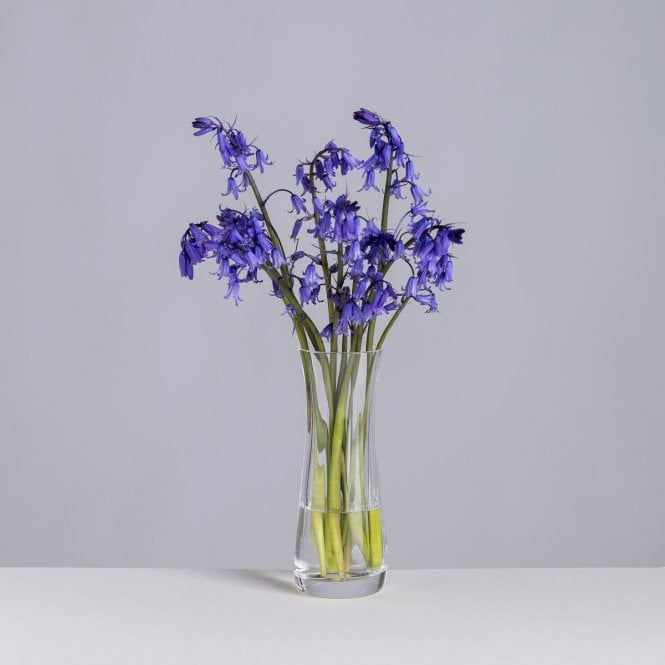 Dartington Florabundance Bluebell Vase
