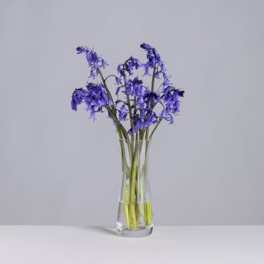 Florabundance Bluebell Vase