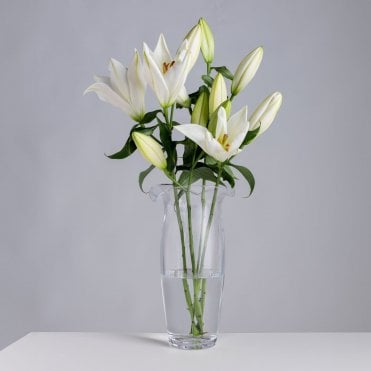 Florabundance Lily Vase