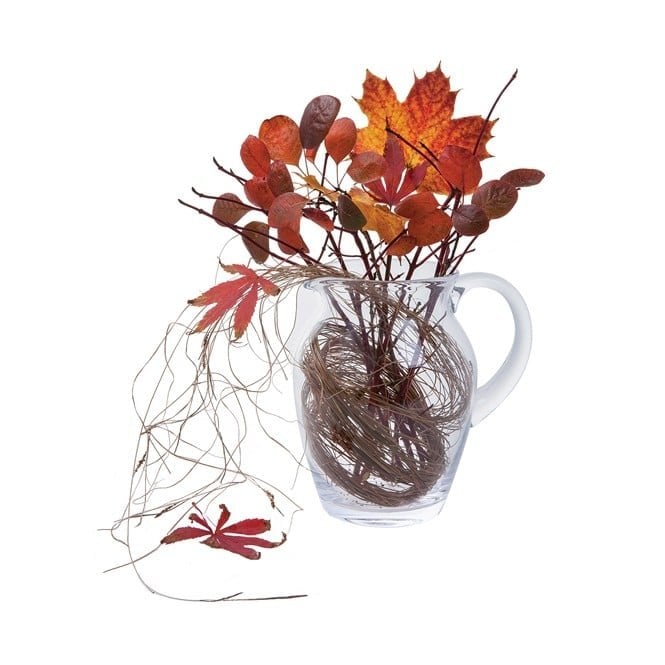 Dartington Flower Garden Blossom Jug