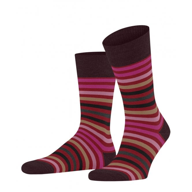 FALKE Tinted Stripe Socks