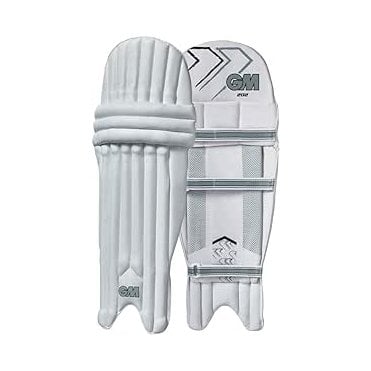 BATTING PADS - 202 AMBI