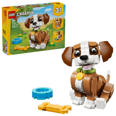 Cute Animals: Playful Puppy Dog 31382