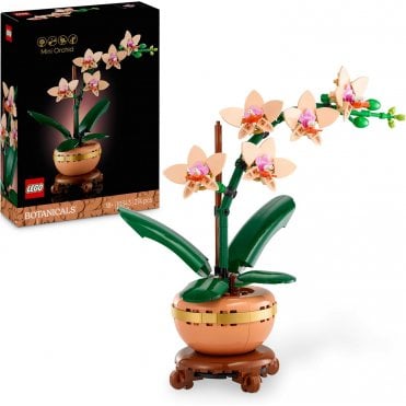Mini Orchid