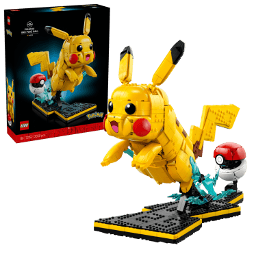 Pikachu and Poké Ball 72152