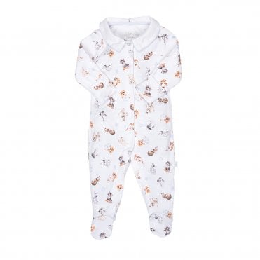 Little Paws Printed Babygrow