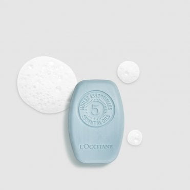 Purifying Freshness Solid Shampoo 60g