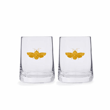 Creatures of Curiosity Glass Tumbler - Set of 2