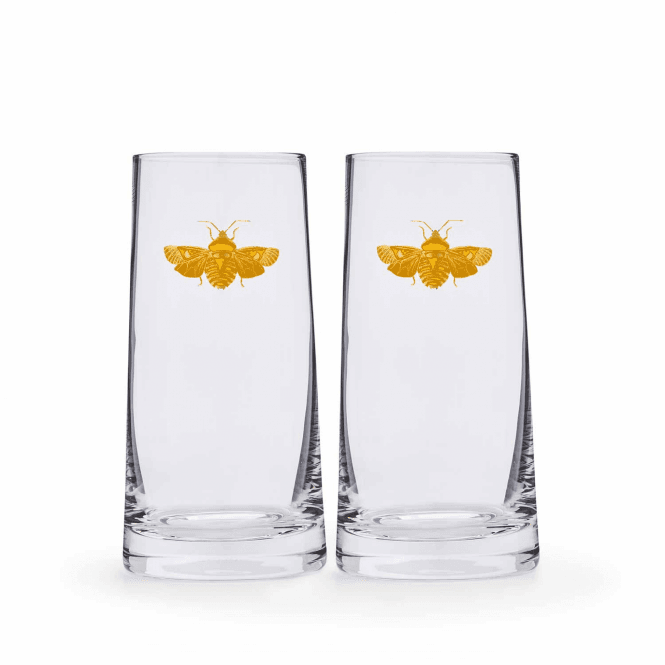 Spode Creatures of Curiosity Highball Glass - Set of 2