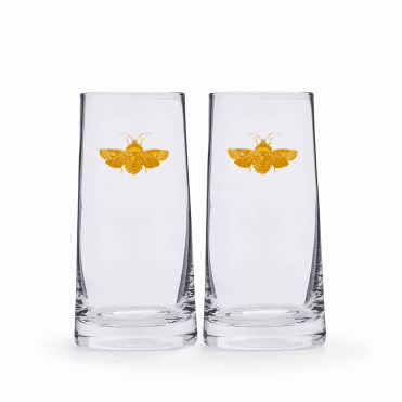 Creatures of Curiosity Highball Glass - Set of 2