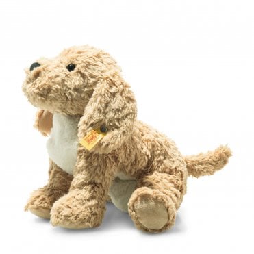 Berno Goldendoodle - Beige