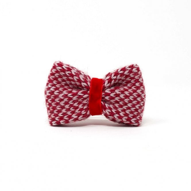 Stocky and Dee Luxury Dog Bow Tie