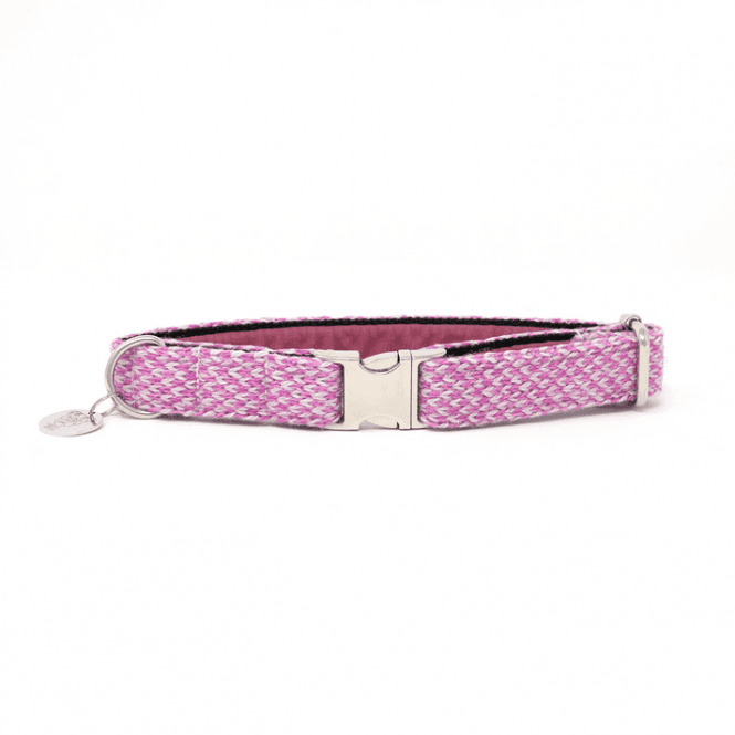 Stocky and Dee Luxury Dog Collar