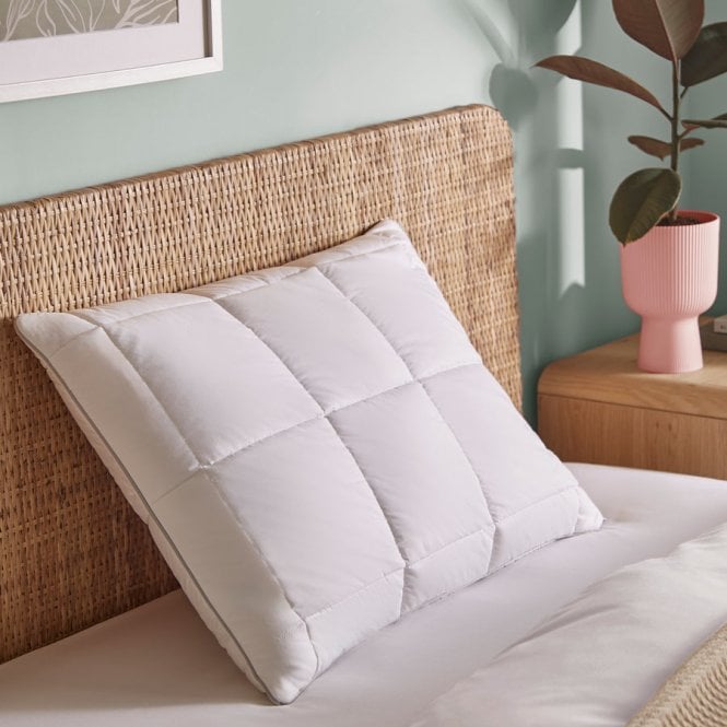 The Fine Bedding Company Natural Latex Foam Pillow