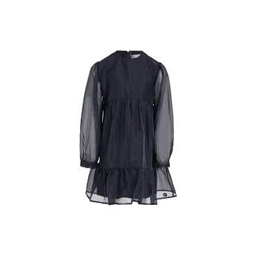 Festive Organza Dress